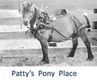 Patty's Pony Place
